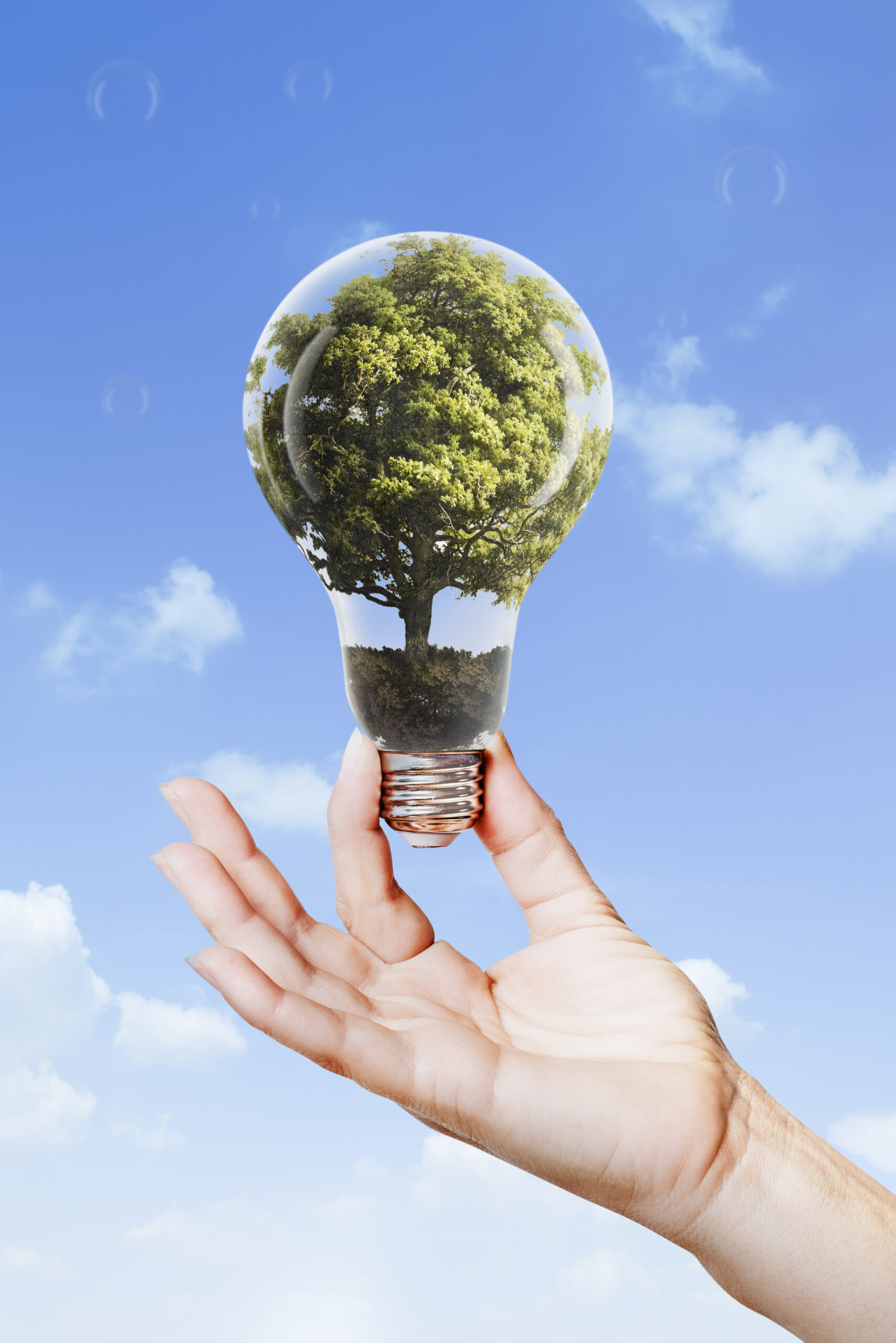 Día Internacional de la Energía Limpia